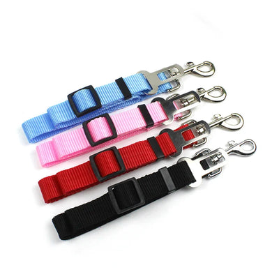 Safty Car Seatbelt